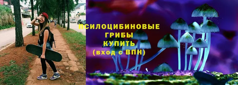 сколько стоит  Богородицк  OMG как войти  Галлюциногенные грибы Magic Shrooms 